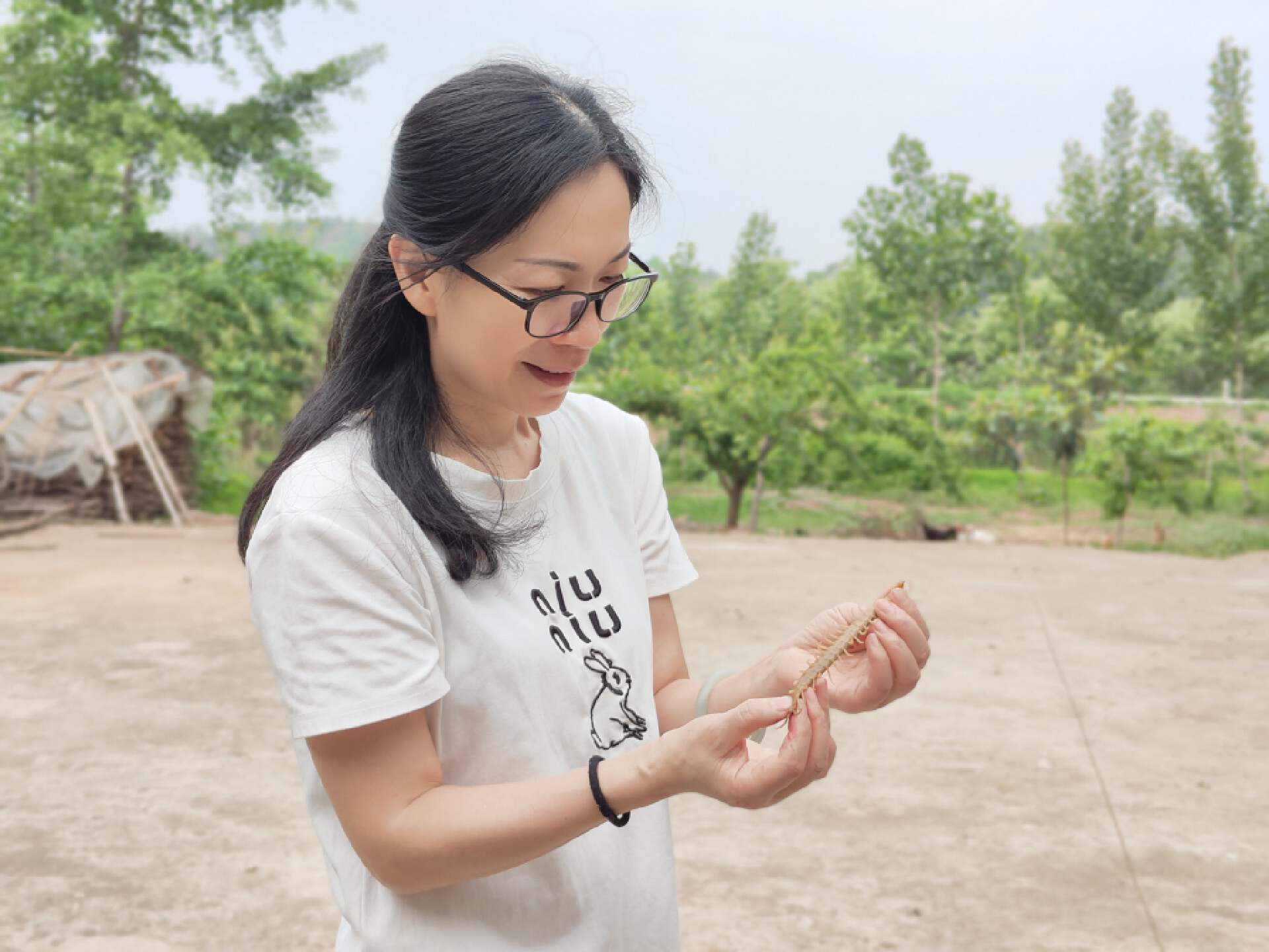 20000mah露营灯,22000mah电池是多少瓦