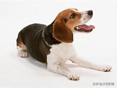 各省地图大图,各个省区的地图哪里找到