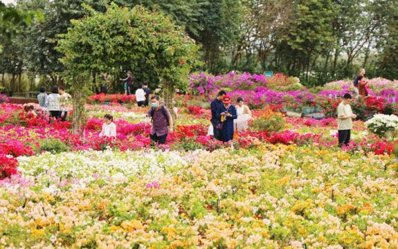 虎虎生威虎年潮品,虎虎生威新春主题活动
