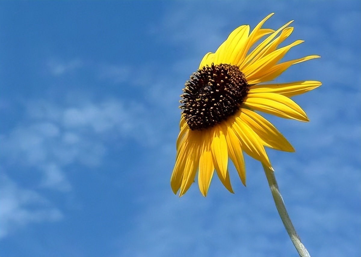 聊聊我的前半生经历,分享自己的前半生经历