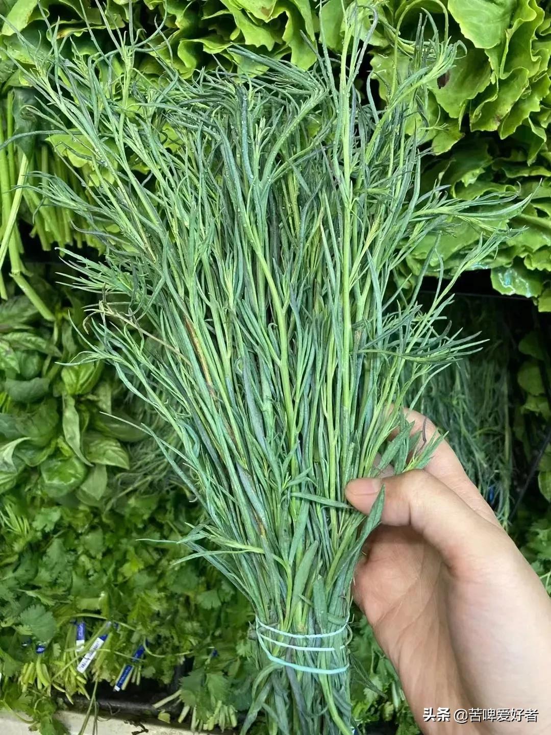 小时候割猪草,小时候割喂猪的猪草都叫什么