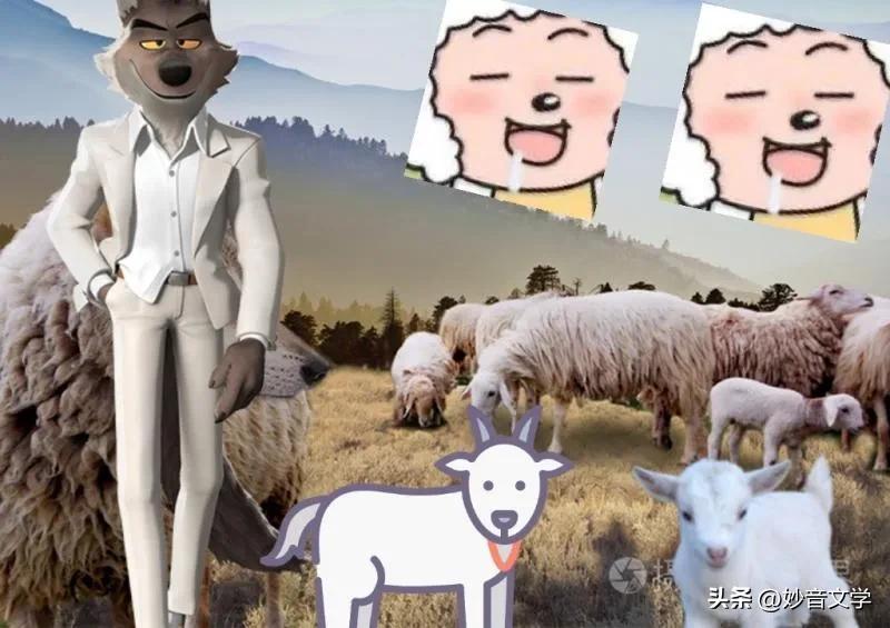 羊羊原版说唱,羊羊绕口令