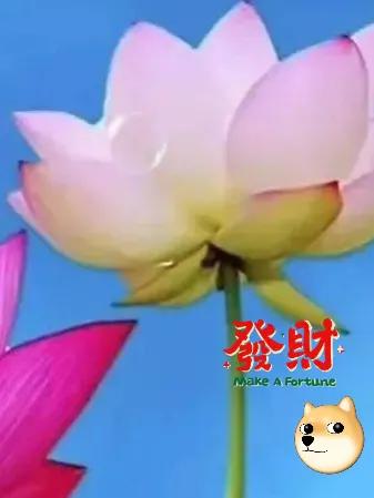 头条新手怎么增加粉丝收益,今日头条粉丝赚钱攻略