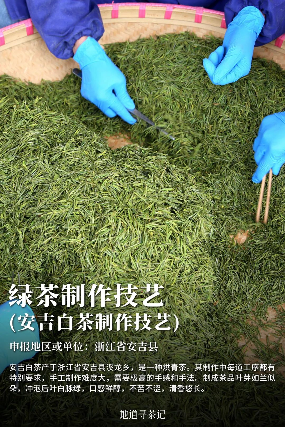 史上最全“中国传统制茶技艺及其相关习俗”展示，建议收藏！