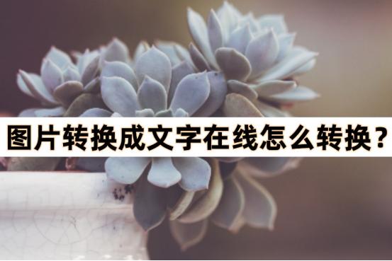 图片转换为文字方法,如何将图片文字转换word