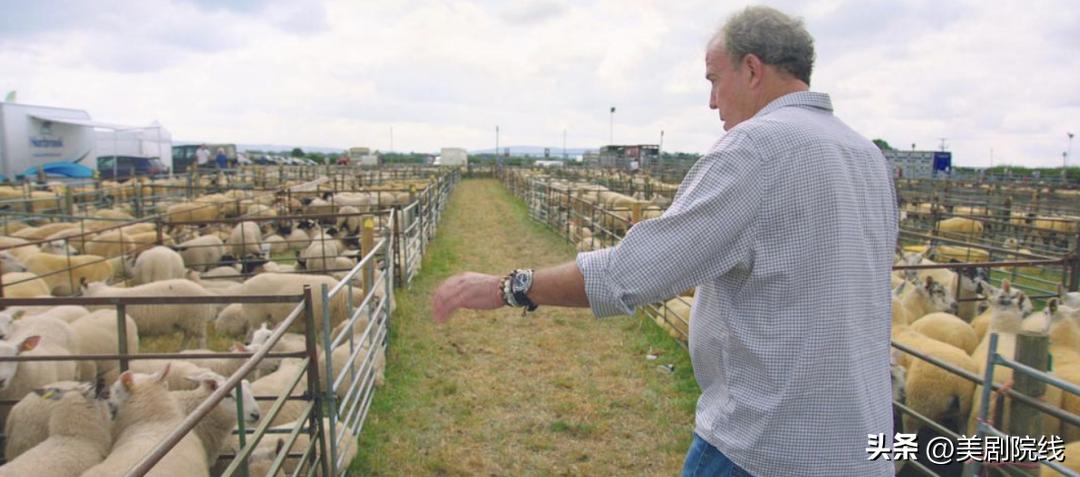 年度最佳好剧推荐,年度最佳剧集排行榜