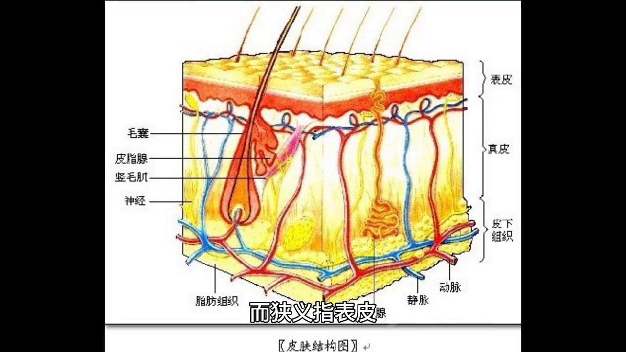 做了皮肤管理脸颊发红还干皮了,脸总是红红的怎么回事