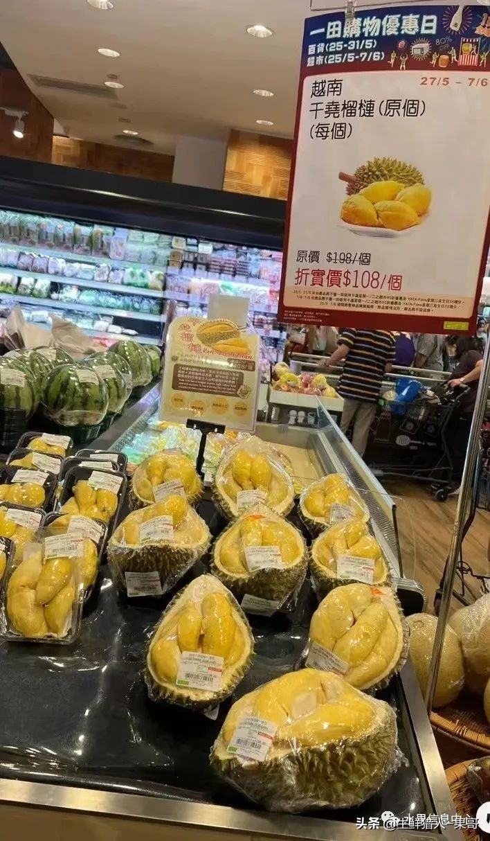 越南当地猫山王榴莲多少钱一斤,越南榴莲知识