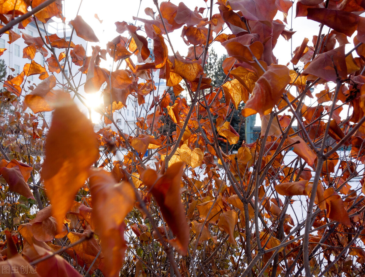 健康一切安好就是最大的福气,其实人这辈子健康才是王道