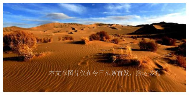 独居百岁老人的故事,独居老人的故事