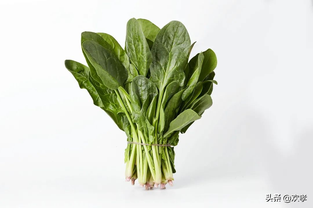 肝病患者春季就吃七种蔬菜养肝,早上是养肝黄金期多吃六种蔬菜