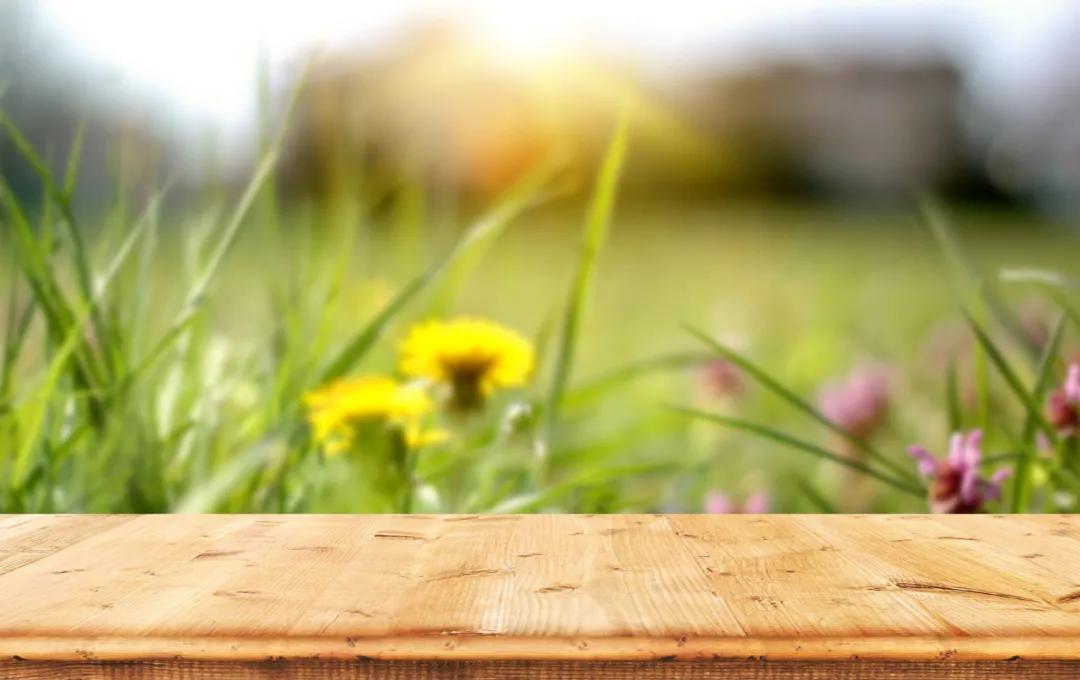 十首早春诗词送给春天,春寒料峭也动人