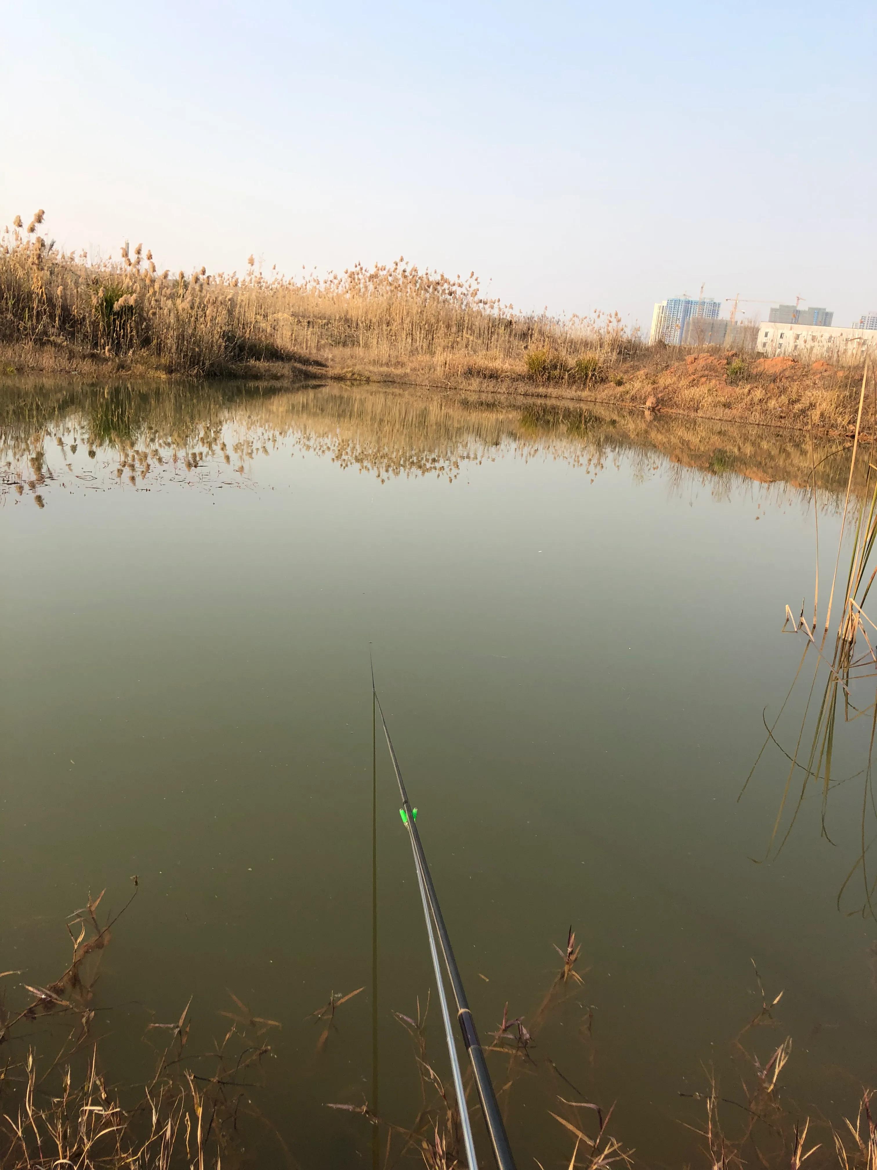 钓鱼方法与技巧野钓入门,路亚钓鱼技巧新手入门