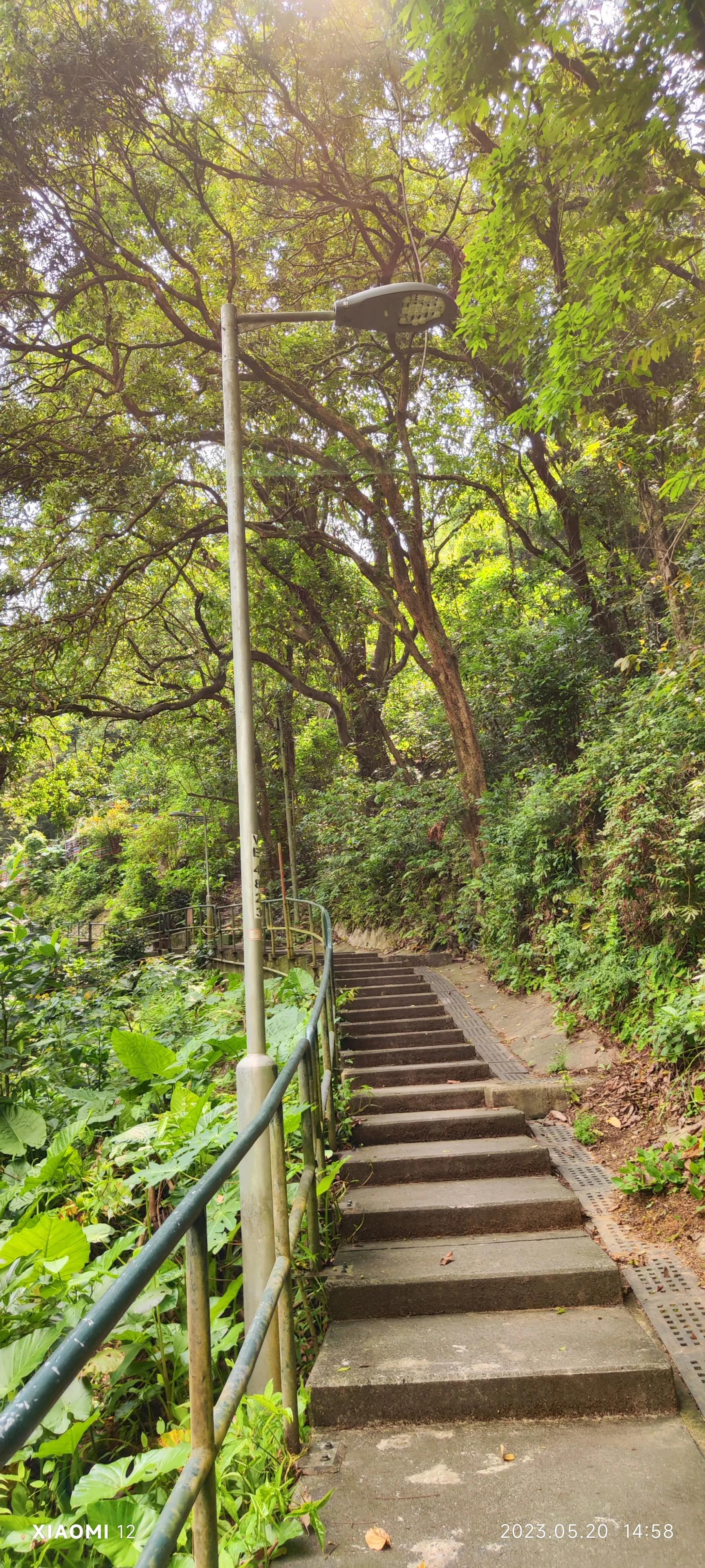 香港大围自由行，重点关注了药品、肉菜以及免税店里香烟的行情