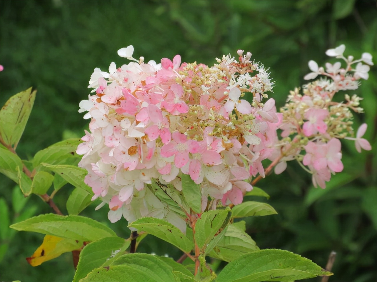 罗永浩这个世界的无聊程度,罗永浩让世界变好一点