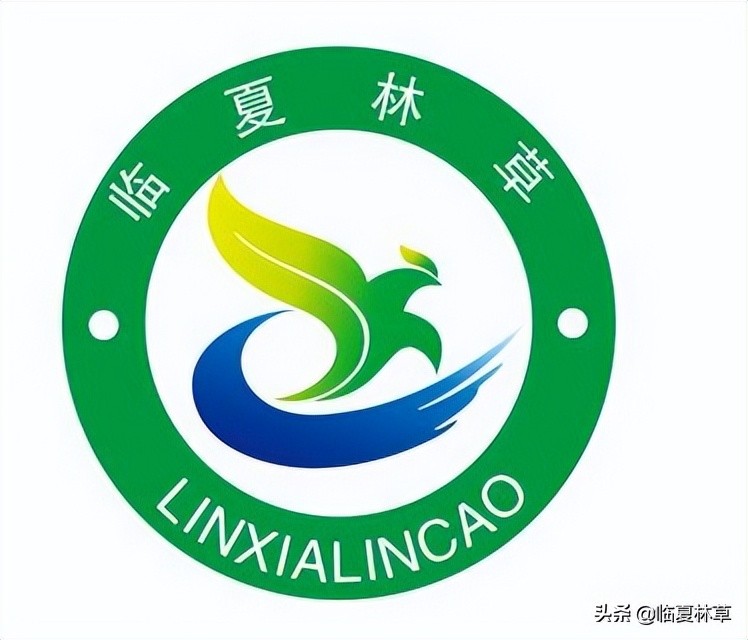 【临夏林草文化】科普篇‖千树万树槐花开，浮香一路到天涯