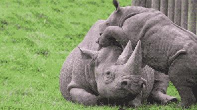 哈尔滨玩的地方推荐道里,梦幻漠河哈尔滨深度游