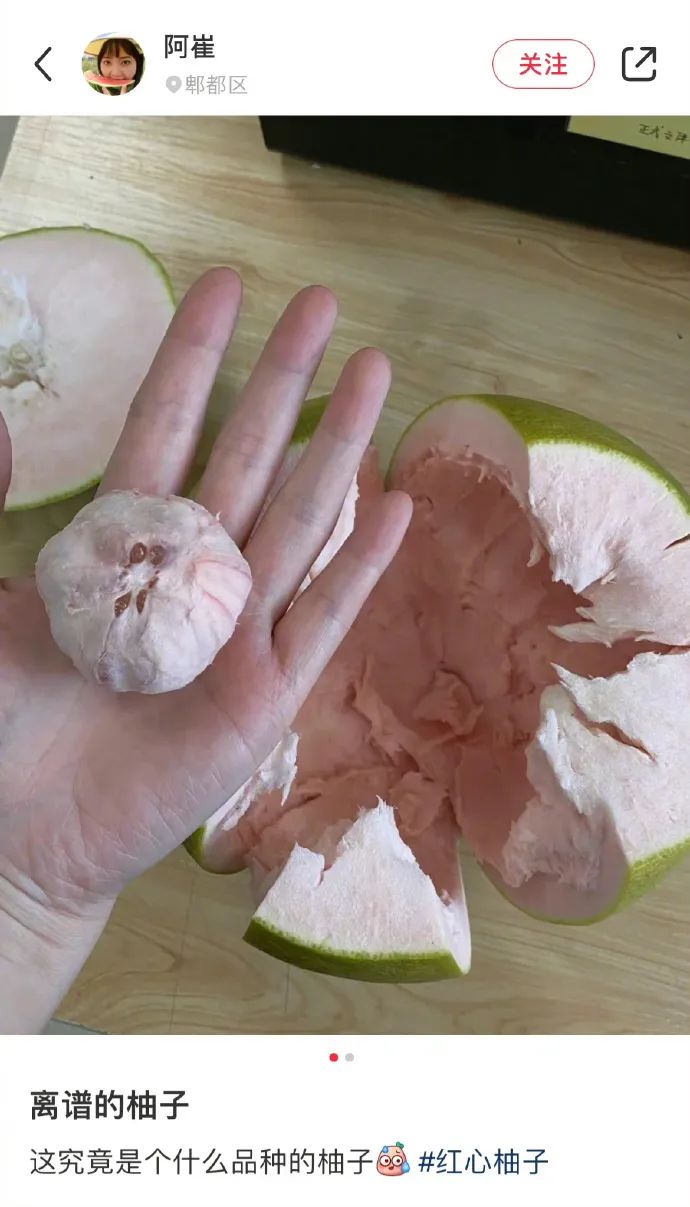 ​好喜欢幽默的互联网友人|冷段子2299去年今日1941