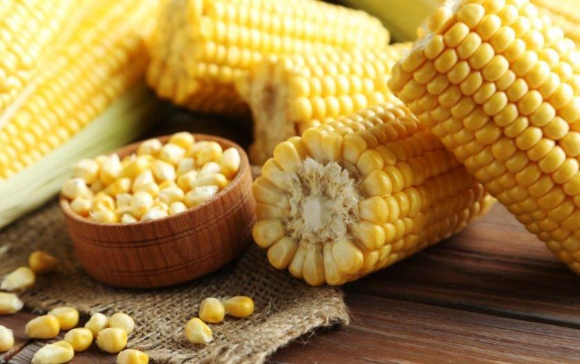 甜玉米和糯玉米哪个减肥效果更好,甜玉米和糯玉米哪个热量更低