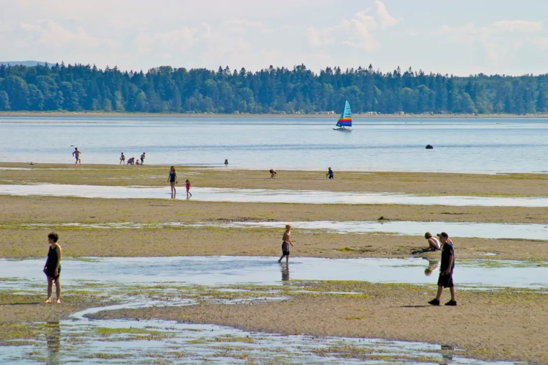 从温哥华开车到西雅图沿途美景,西雅图到温哥华沿途风景