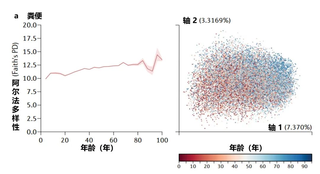 人体微生物分布于哪些位置,与人体共生的微生物