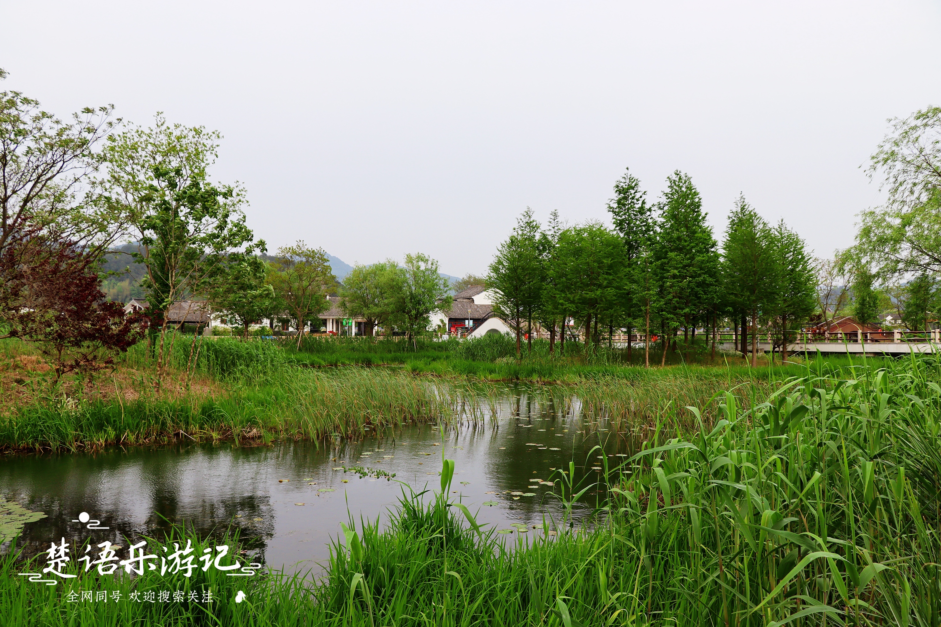 宁波湿地公园好玩吗,宁波湿地公园