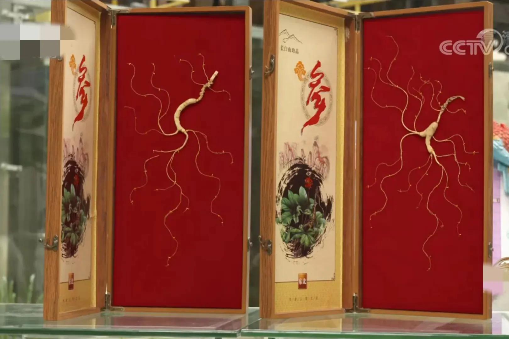 山地果园种林下参合法吗,山林地出租种林下参多少钱一亩