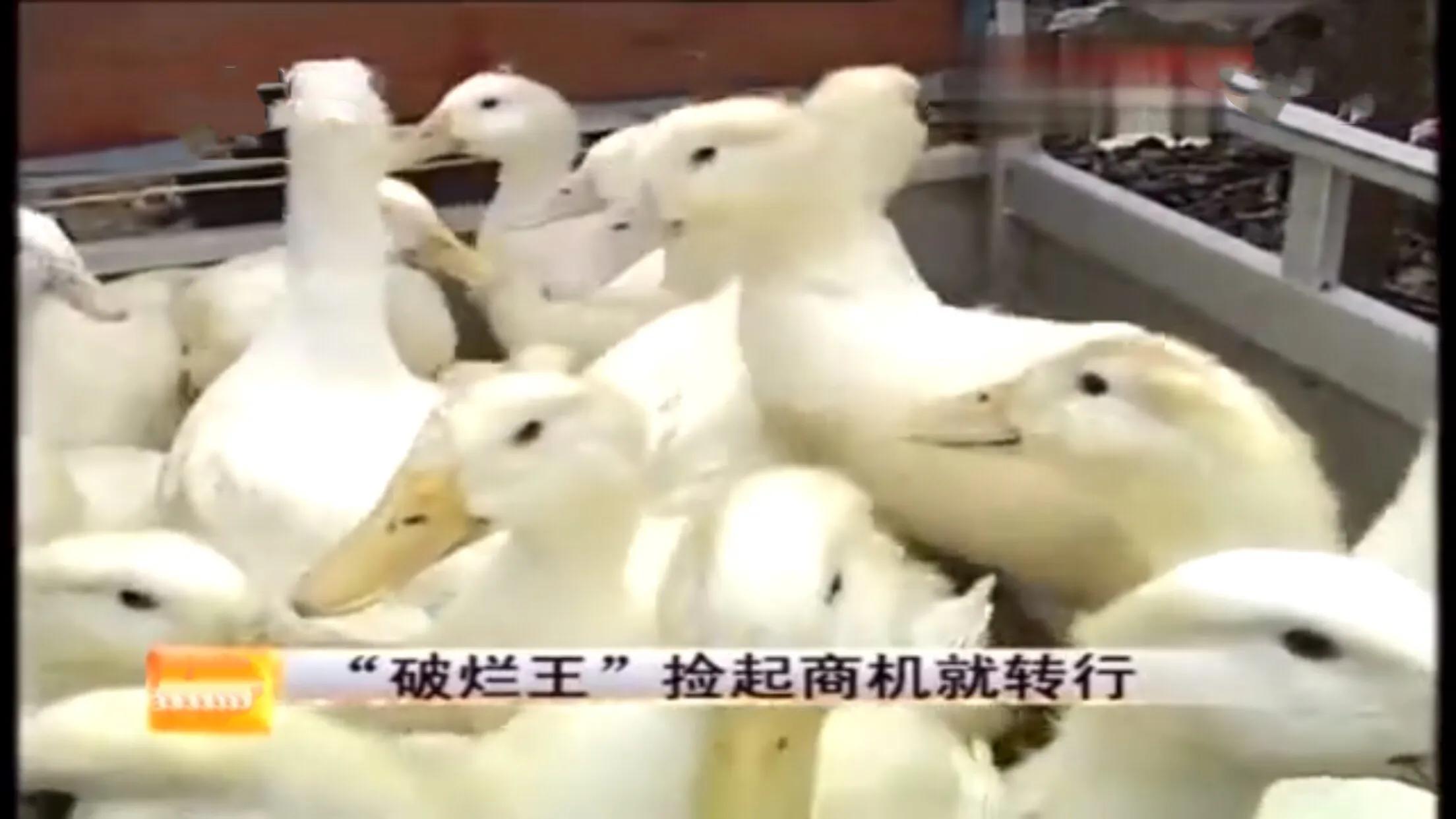 农村小伙无意发现商机成千万富翁,山东十六岁小伙捡破烂发现商机