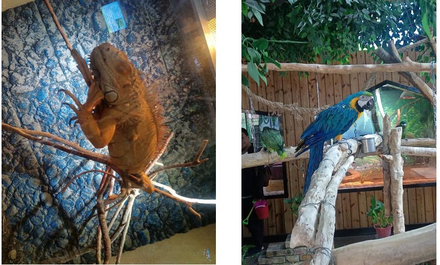 包头市动物园在哪里,包头劳动公园动物园