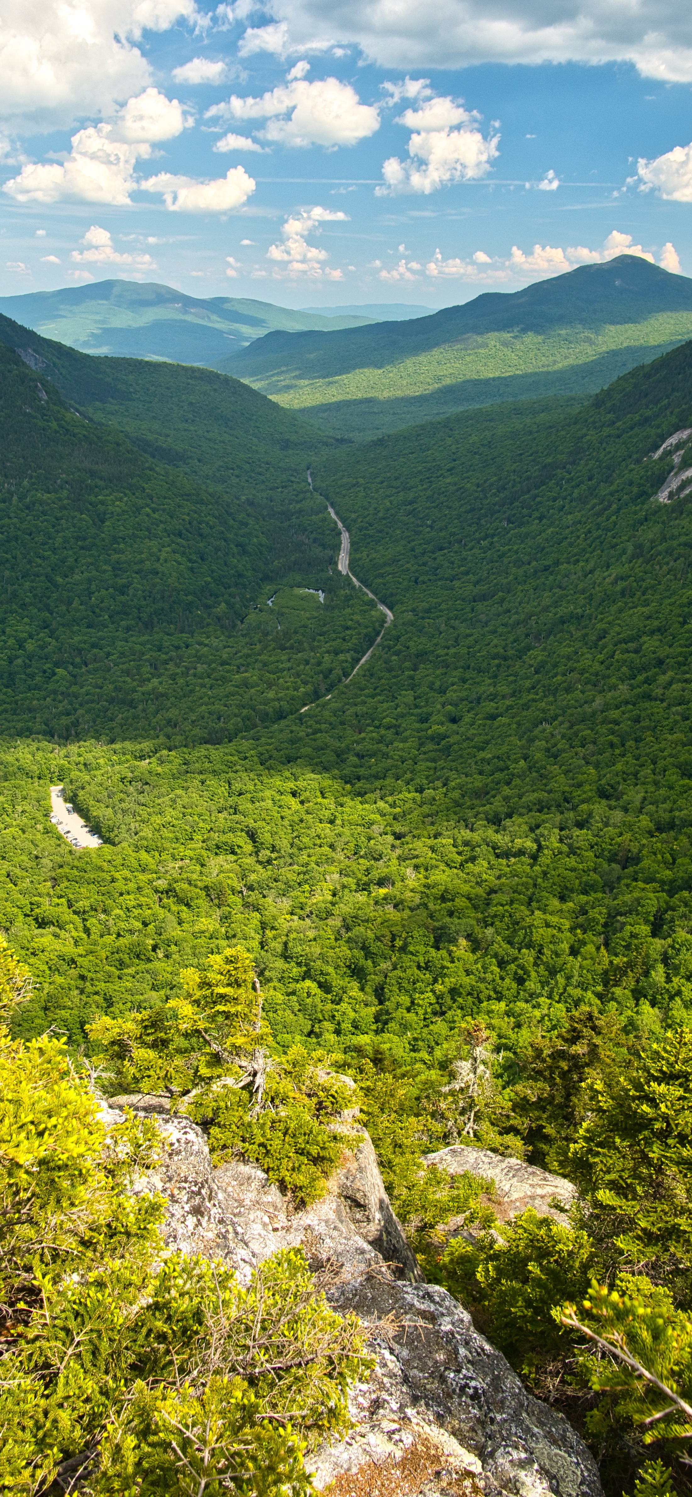 早安竖屏手机壁纸,早安图片最新手机壁纸