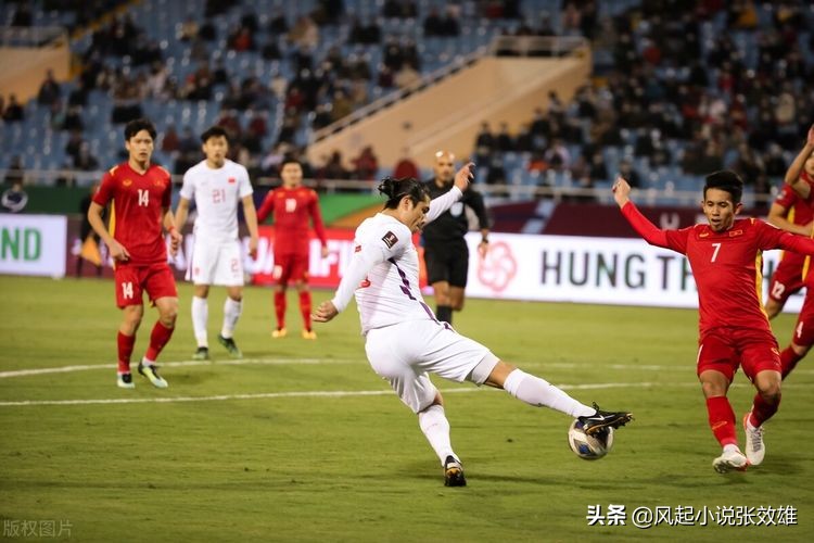 张效雄专业作家,作家张效雄全部小说