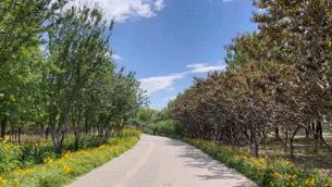 太阳把皮肤晒红了怎么修复,太阳晒后怎么修复皮肤