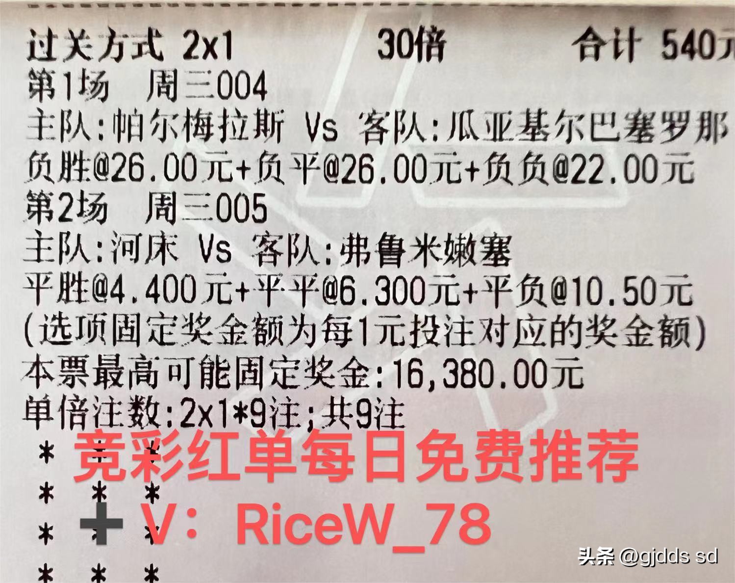 解放者杯弗拉门戈赔率,002解放者杯