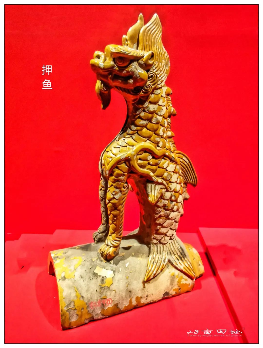 故宫600年-丹宸永固