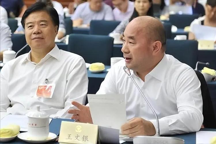 王文银有多少个矿产,中国隐形富豪第一名王文银