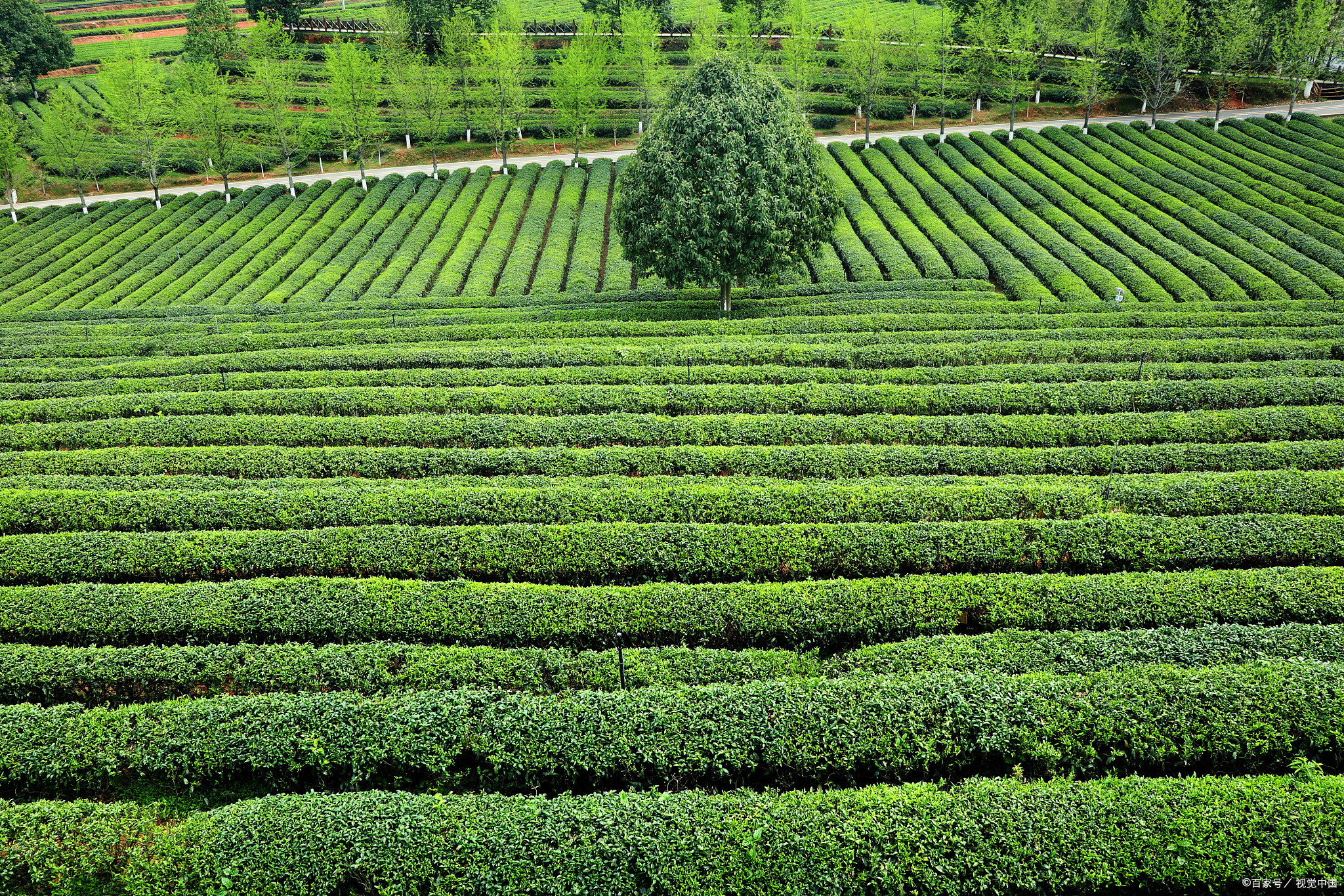 长沙适合夏天避暑打卡的地方,长沙周边旅游避暑推荐