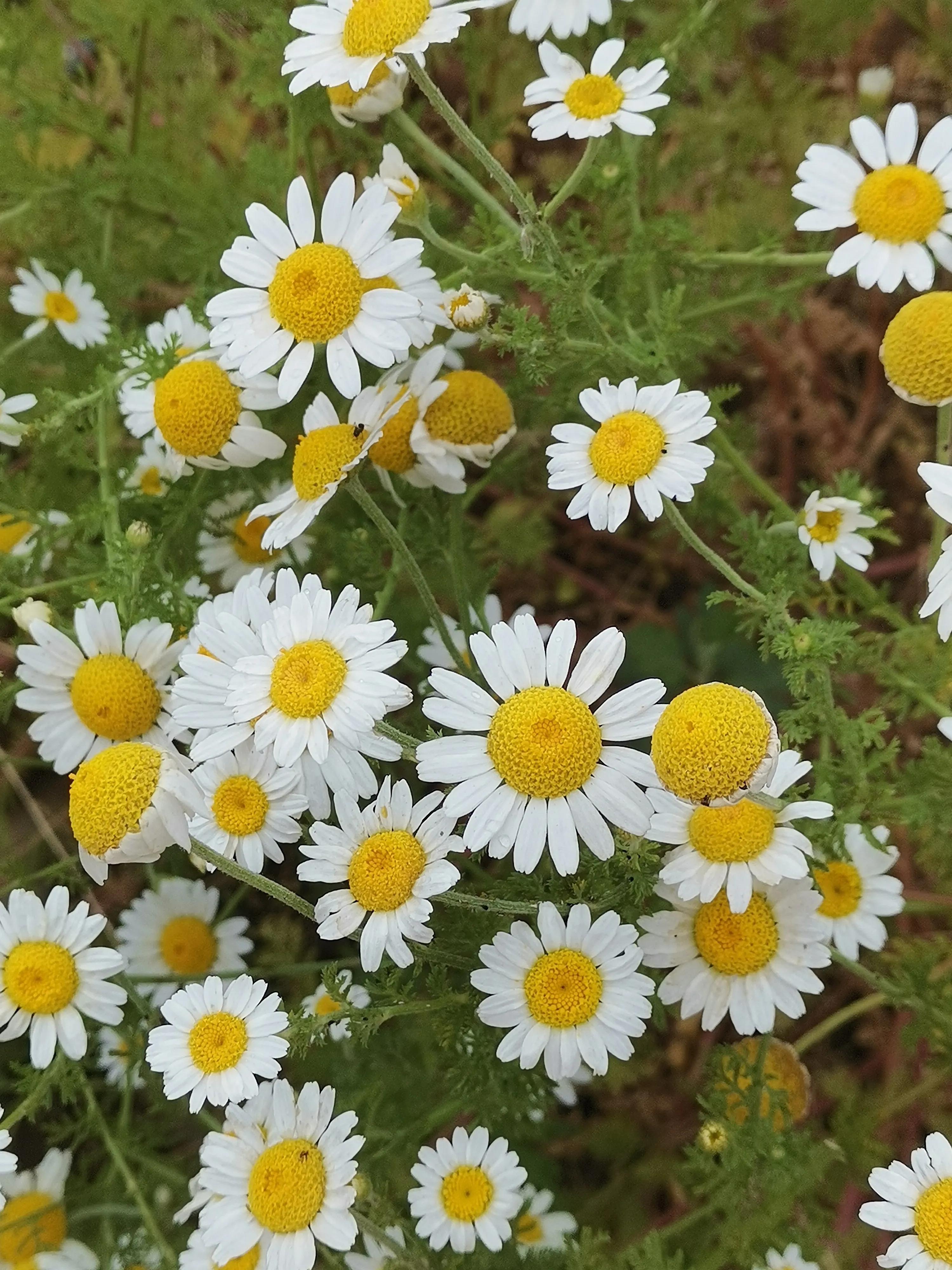 商洛好玩的免费景点,商洛不需要门票的景区