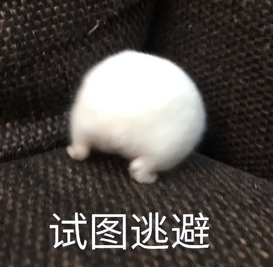 嘿!围观下各个国家的万圣节习俗