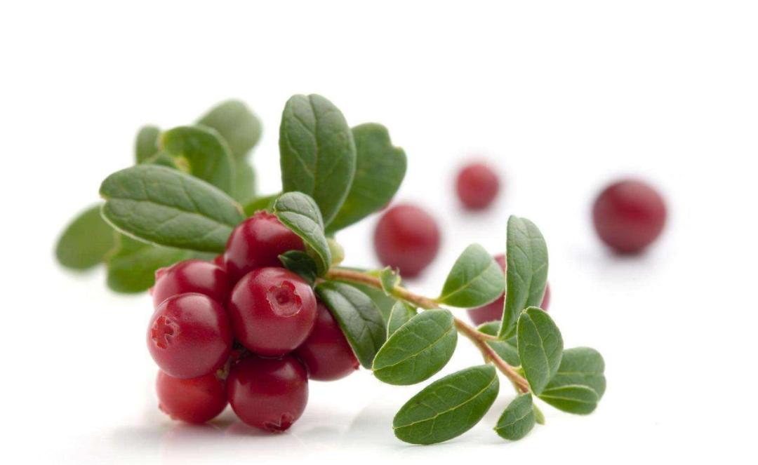 关于加拿大原住民的纪录片,加拿大原始居民纪录片