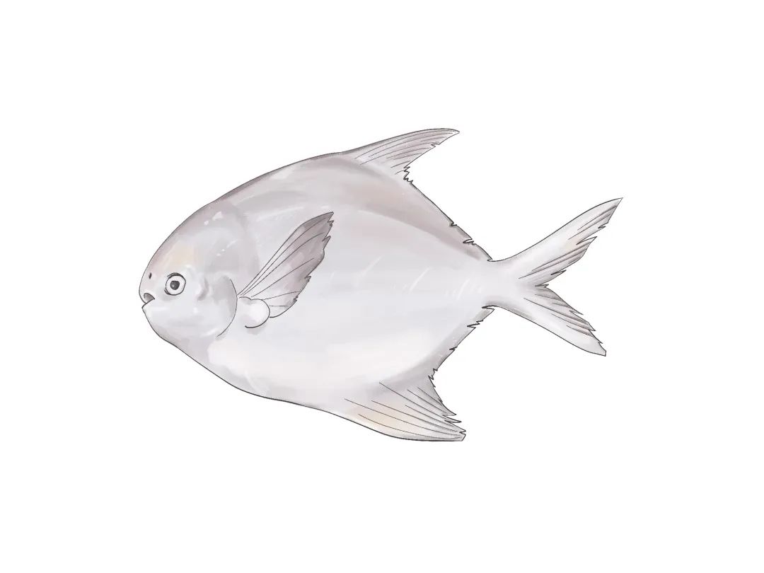 厦大食堂有啥鱼？这位老师来回答！