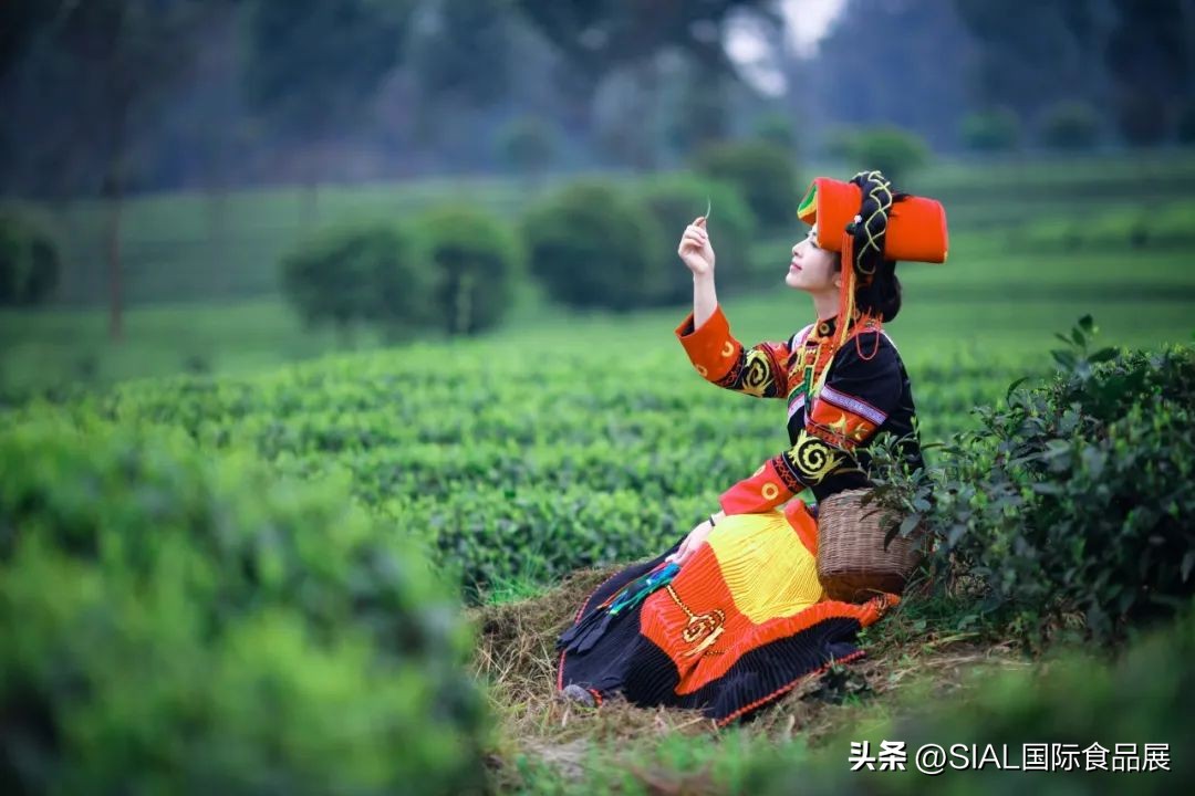 未来几年，茶饮赛道将出现哪些大爆款？|SIAL西雅展