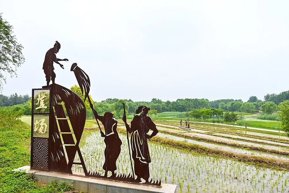 北京免费景美公园大全,北京这个公园也很美