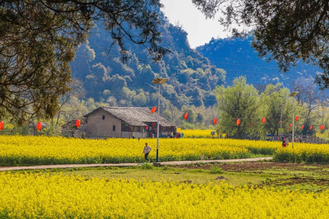 安顺市自然风景区,贵州安顺风景介绍视频