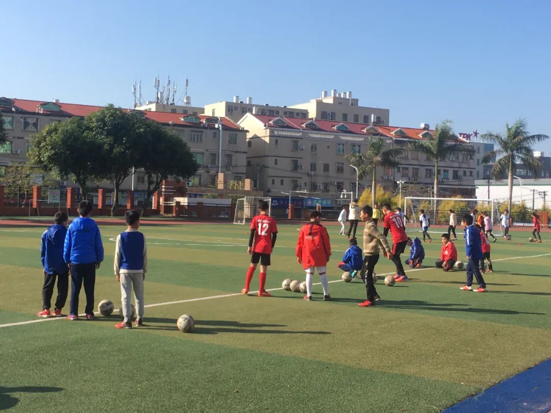 我们的校园㊱|何厝小学：一样的成长，不一样的精彩~