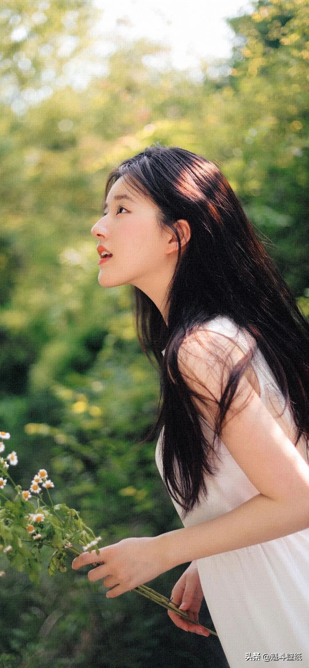 鍙ら璇綍澹佺焊鍞編,鍙ら鍞編鍙ュ瓙鍥剧墖澹佺焊