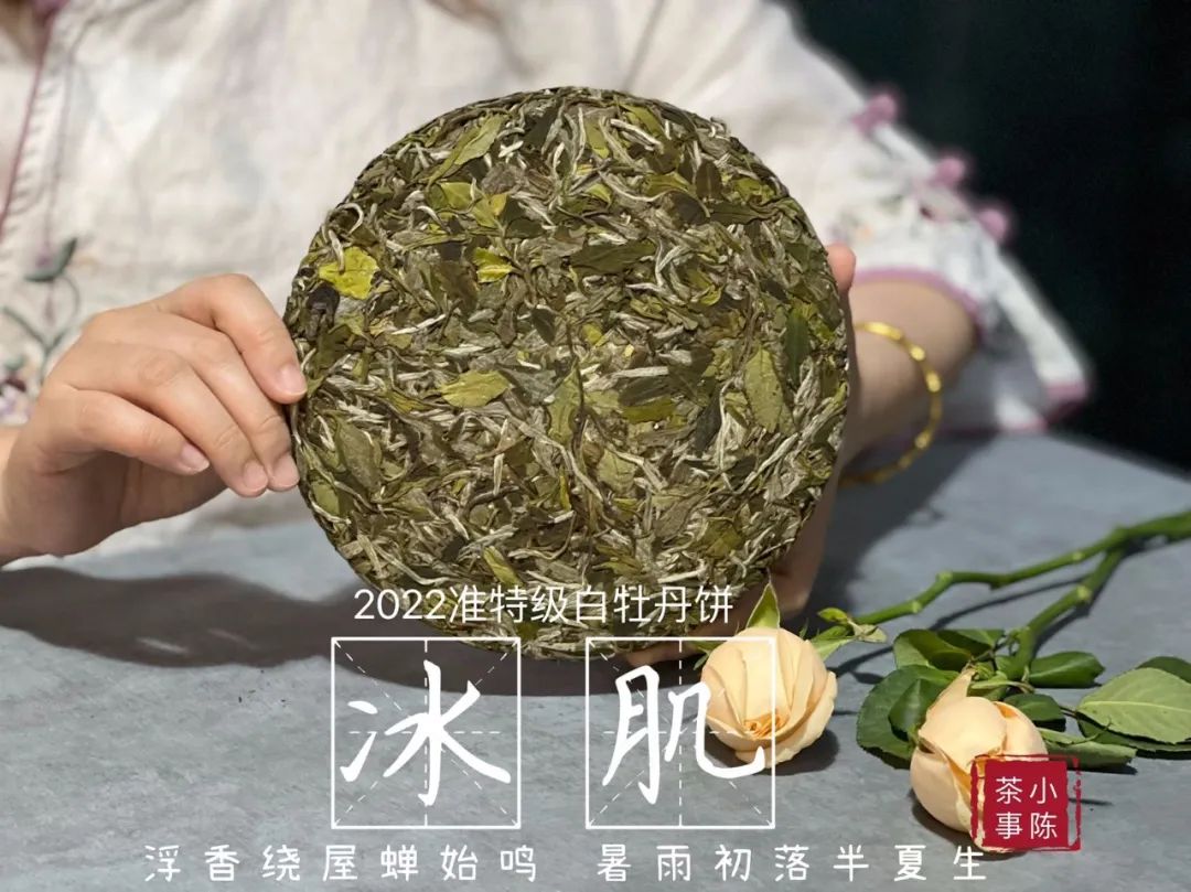 福鼎白茶饼357克尺寸,如何选择白茶饼