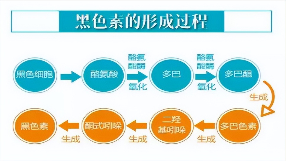 胡须鼻毛变白是衰老的标志吗,鼻毛变白是衰老的表现吗