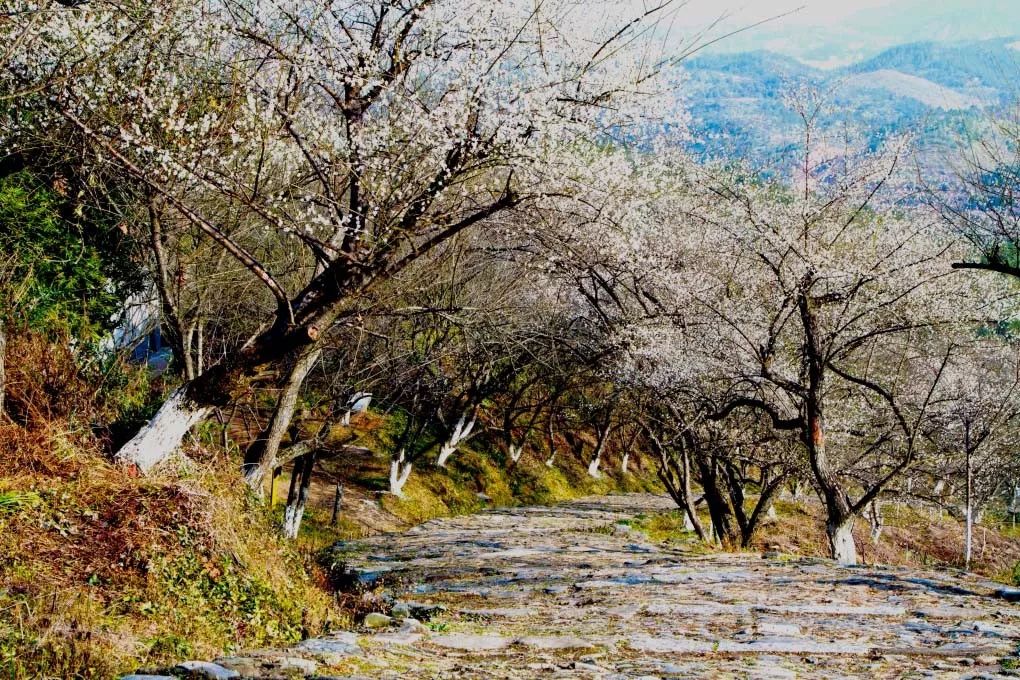 江西省位于中国什么地方,江西到底是一个怎样的地方