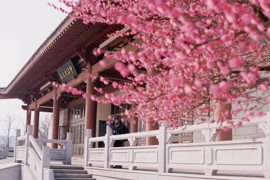 浙江大学各专业录取分数,浙江大学专业录取分数