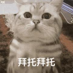 好用翻译软件免广告,好用翻译软件